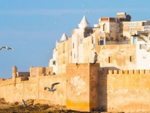 escursione zagora 2 giorni 3 Escursione Zagora 2 giorni con giro in cammello e cena tradizionale berbera nel meraviglioso paesaggio desertico del Sahara