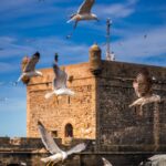 TOUR DEL MAROCCO DI 7 GIORNI DA CASABLANCA A MARRAKECH