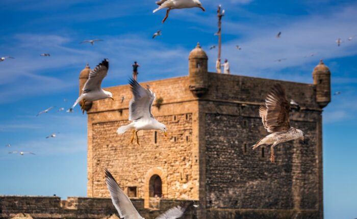 TOUR DEL MAROCCO DI 7 GIORNI DA CASABLANCA A MARRAKECH