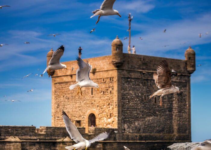 TOUR DEL MAROCCO DI 7 GIORNI DA CASABLANCA A MARRAKECH