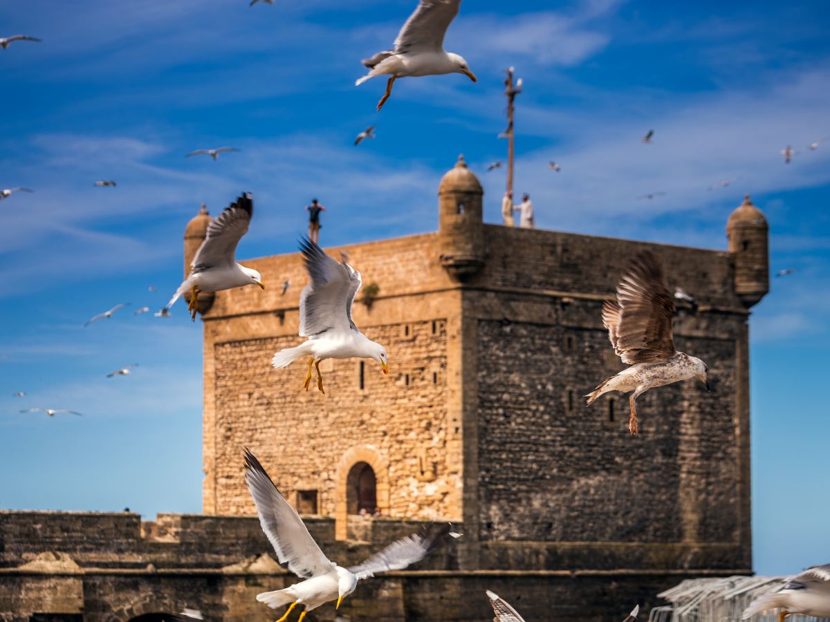 TOUR DEL MAROCCO DI 7 GIORNI DA CASABLANCA A MARRAKECH