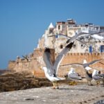 TOUR PRIVATO DEL MAROCCO DI 12 GIORNI DA CASABLANCA
