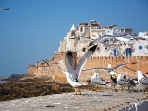 TOUR PRIVATO DEL MAROCCO DI 12 GIORNI DA CASABLANCA
