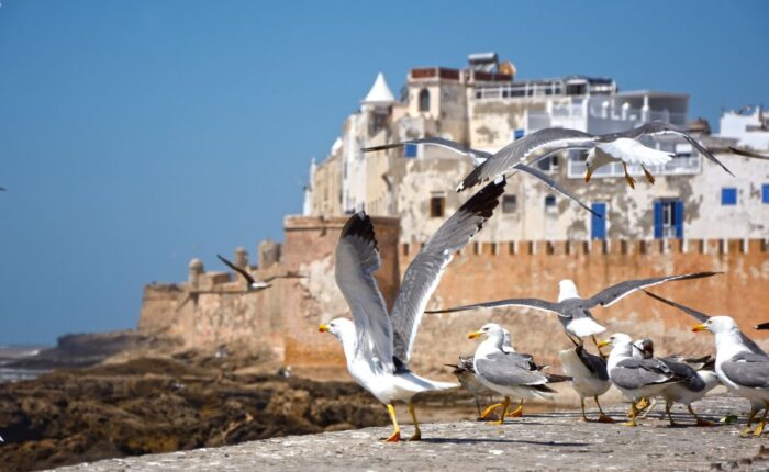 TOUR PRIVATO DEL MAROCCO DI 12 GIORNI DA CASABLANCA
