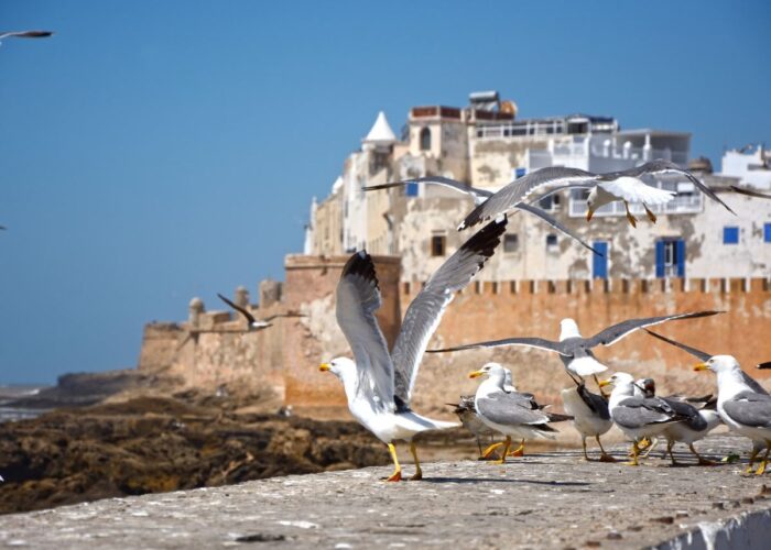 TOUR PRIVATO DEL MAROCCO DI 12 GIORNI DA CASABLANCA
