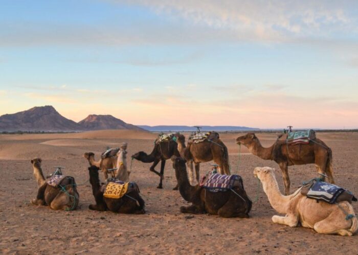 Tour Sahara 5 giorni con traversata delle dune in 4x4 e notte beduina con vista panoramica sul deserto marocchino