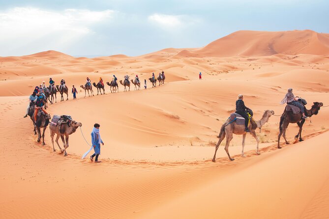 Deserto Del Sahara Marocco