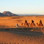 Deserto di Zagora​ Marocco : Escursioni da Marrakech