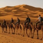 Tour da Fes a Marrakech​ 2 Giorni a Merzouga Deserto