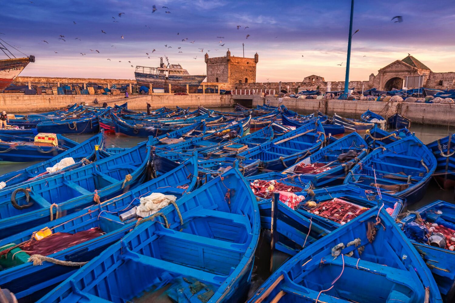 Tour da marrakech a essaouira​