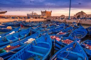Tour da marrakech a essaouira​