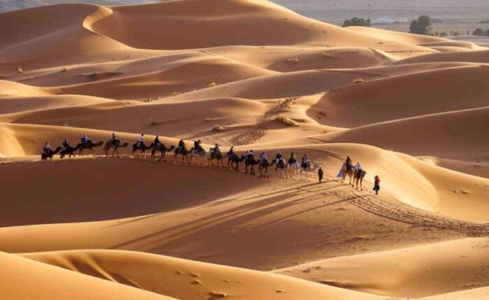 Tour da Fes a Marrakech​ 2 Giorni a Merzouga Deserto